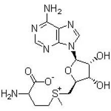 S-Adenosyl-L-Methionine